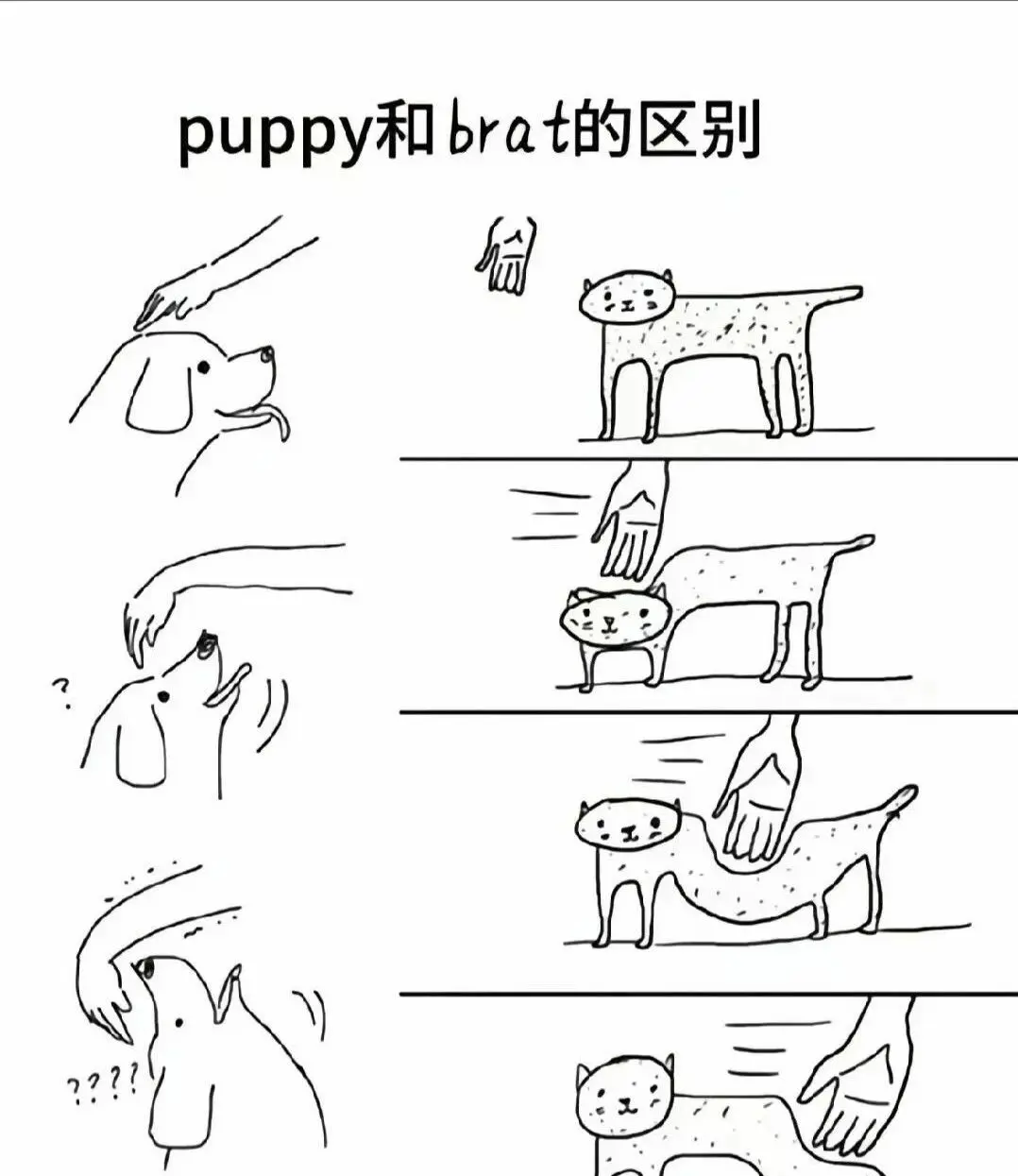 西檬之家字母圈入圈新手指南 一