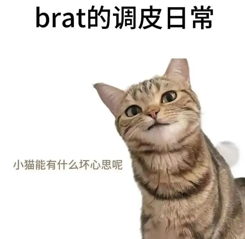 西檬之家字母圈DOM是什么意思 一