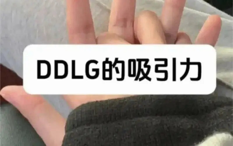 西檬之家k9是什么?字母圈新人必知 一