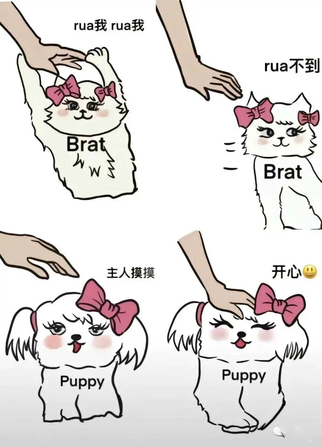 西檬之家k9犬系角色入门指南 一