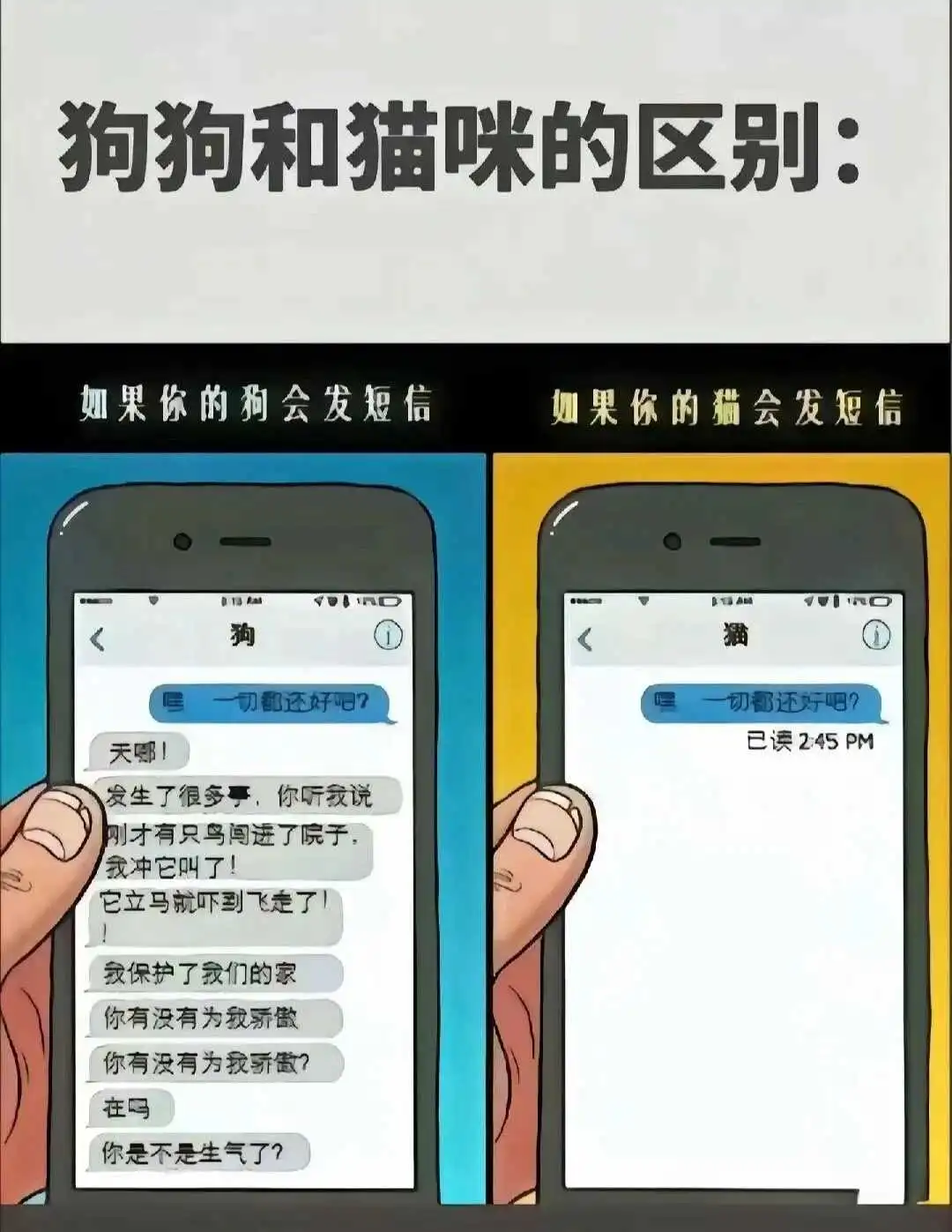 西檬之家字母圈入圈要注意什么?新人入门全攻略 一