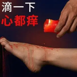 西檬之家k9是什么?字母圈身份解析 一
