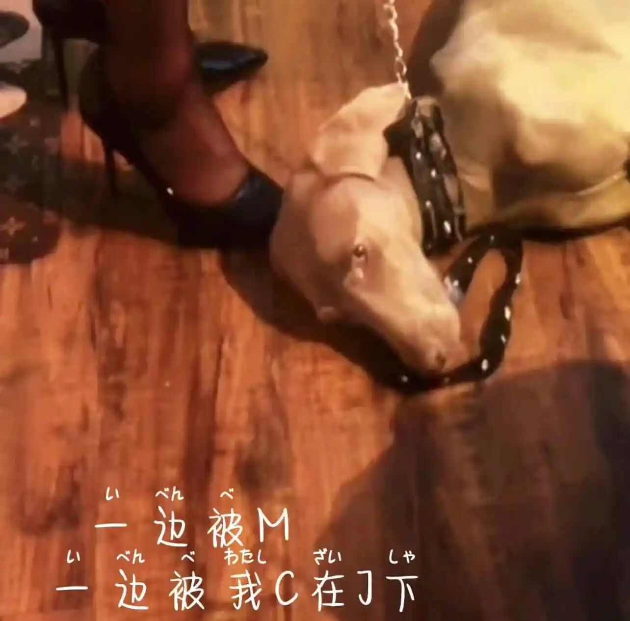 西檬之家ds关系是什么?你的角色定位在哪里? 一