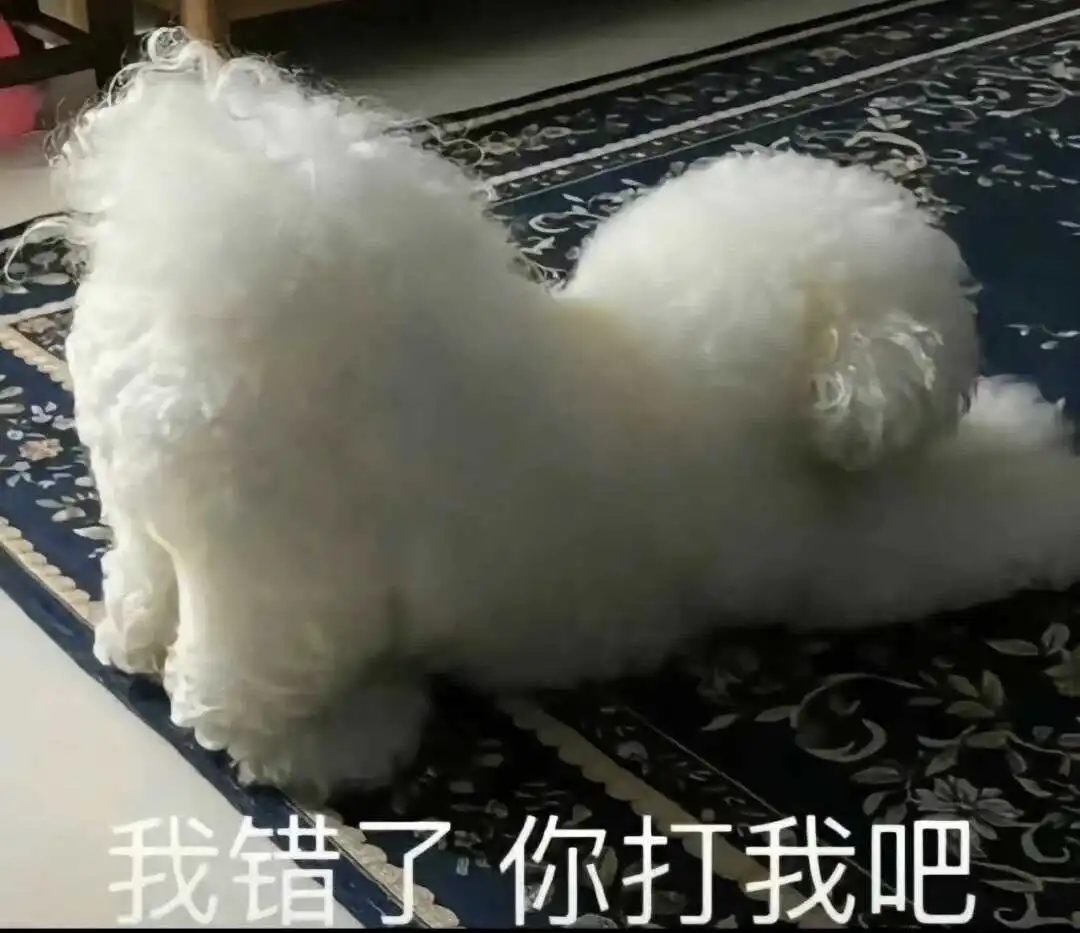 西檬之家sub是什么? 一