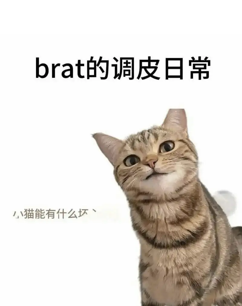 西檬之家sp小圈怎么玩?新人入门指南 一