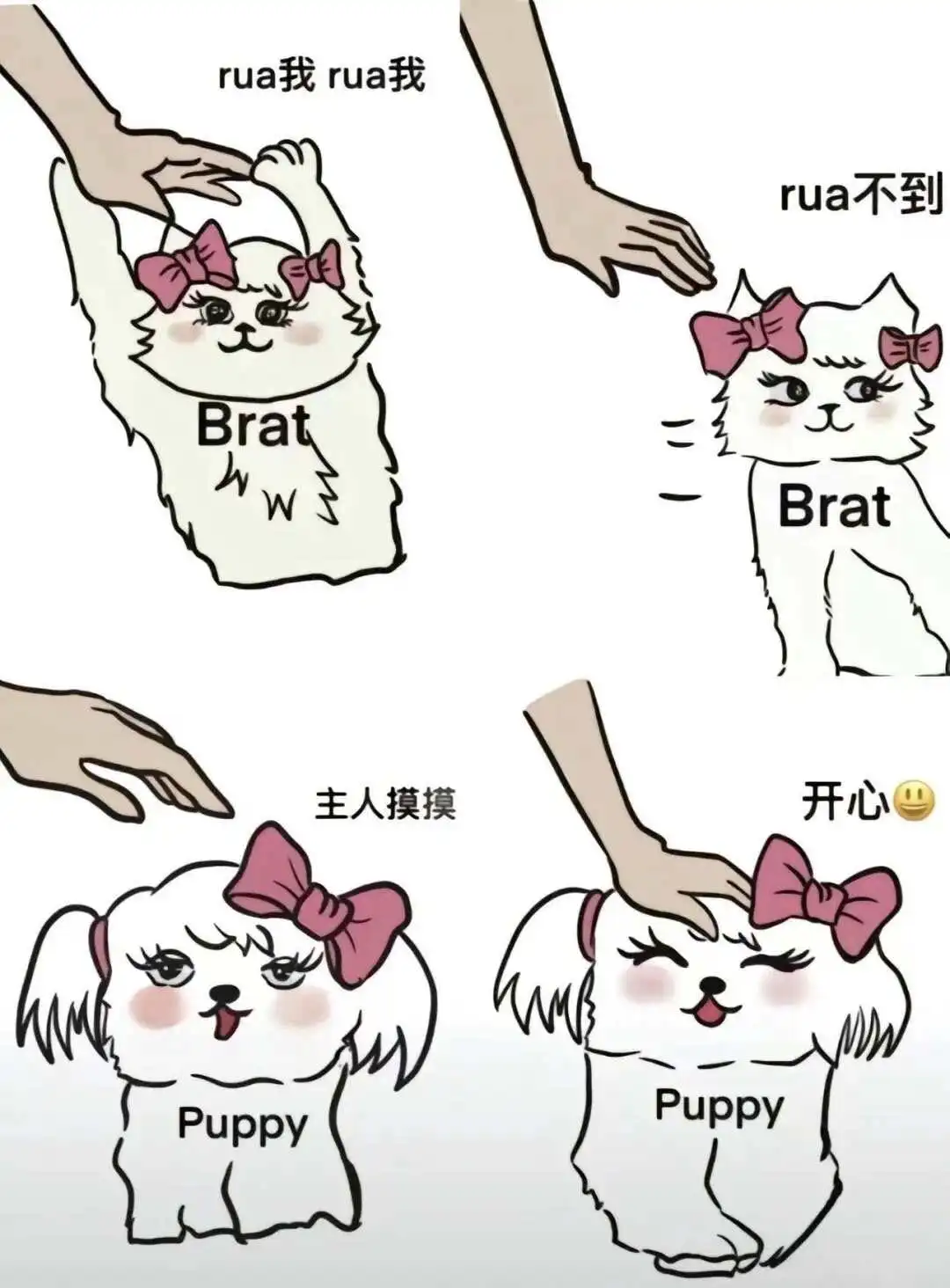 西檬之家k9是什么?字母圈新人科普指南 一